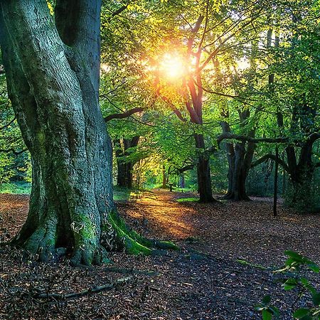 Newhall Lodge Cannock Zewnętrze zdjęcie